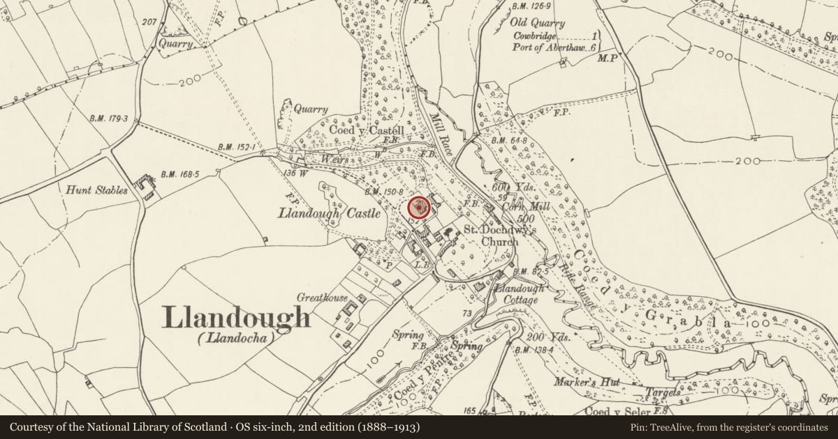 Ordnance Survey six-inch map, 2nd edition (1888–1913) covering the location of Llandough Castle, Llanfair, Vale of Glamorgan, with a pin at the register's coordinates