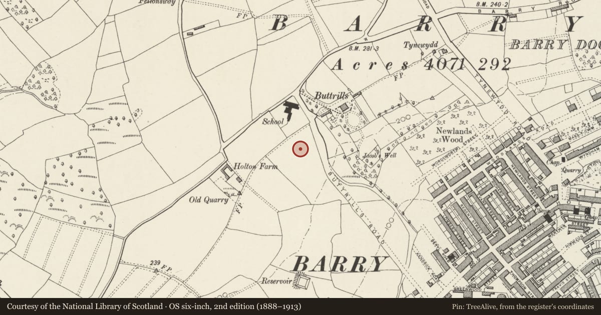 Ordnance Survey six-inch map, 2nd edition (1888–1913) covering the location of College Fields Nursing Home, Barry, Vale of Glamorgan, with a pin at the register's coordinates