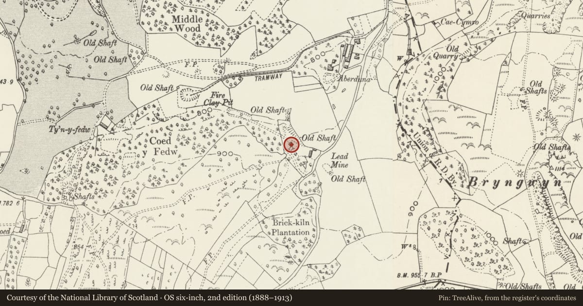 Ordnance Survey six-inch map, 2nd edition (1888–1913) covering the location of Aberduna Engine House, Llanferres, Denbighshire, with a pin at the register's coordinates