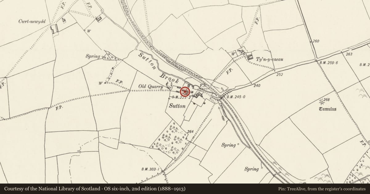 Ordnance Survey six-inch map, 2nd edition (1888–1913) covering the location of Long Range of Outbuildings to NW of Sutton, Llandow, Vale of Glamorgan, with a pin at the register's coordinates