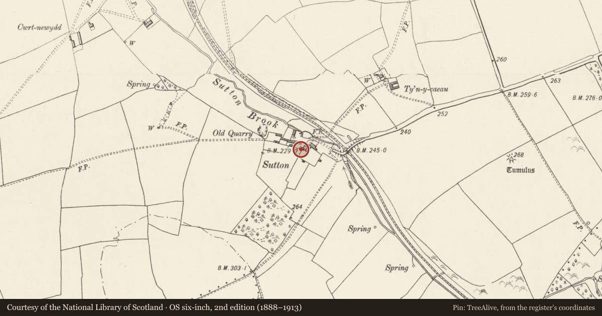 Ordnance Survey six-inch map, 2nd edition (1888–1913) covering the location of Small Outbuilding immediately to W of Sutton House, Llandow, Vale of Glamorgan, with a pin at the register's coordinates
