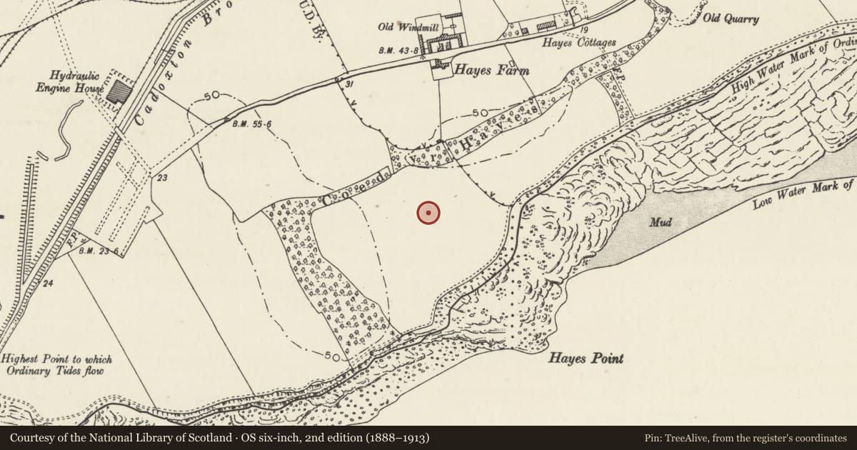 Ordnance Survey six-inch map, 2nd edition (1888–1913) covering the location of Sully Hospital, Vale of Glamorgan, with a pin at the register's coordinates