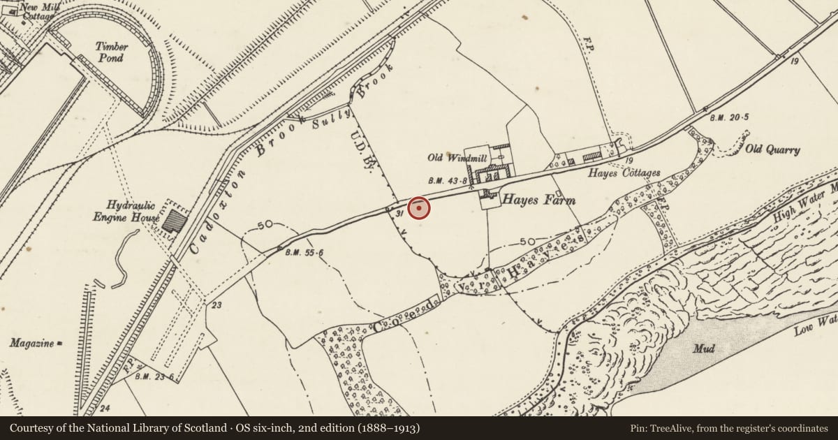 Ordnance Survey six-inch map, 2nd edition (1888–1913) covering the location of Former Lodge and Screen walls flanking the driveway entrance to Sully Hospital, Vale of Glamorgan, with a pin at the register's coordinates