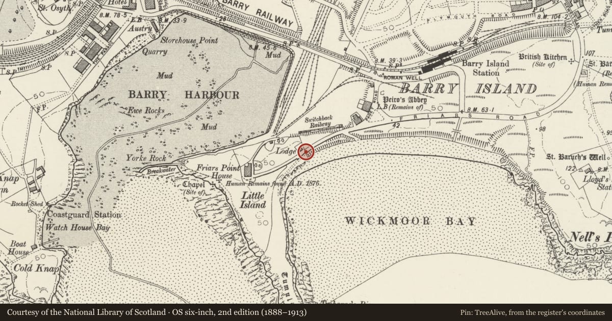 Ordnance Survey six-inch map, 2nd edition (1888–1913) covering the location of Gates and Gatepiers at drive entrance to Friars Point House, Barry, Vale of Glamorgan, with a pin at the register's coordinates