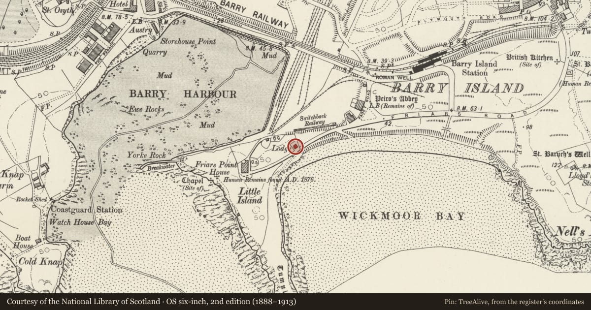 Ordnance Survey six-inch map, 2nd edition (1888–1913) covering the location of Lodge to Friars Point House, Barry, Vale of Glamorgan, with a pin at the register's coordinates