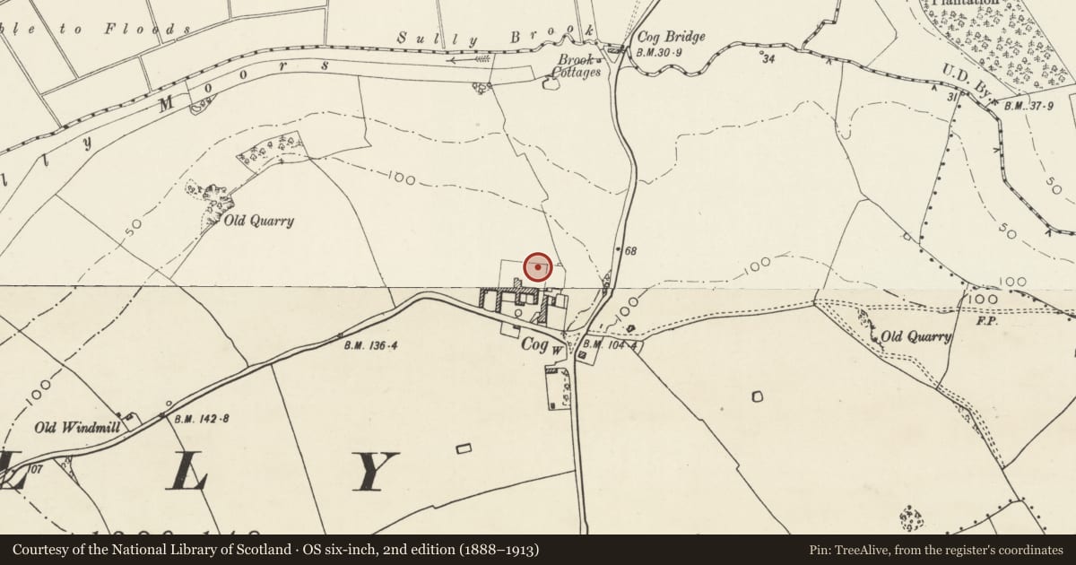 Ordnance Survey six-inch map, 2nd edition (1888–1913) covering the location of Eight rickstands to N side of Cog Farm, Sully, Vale of Glamorgan, with a pin at the register's coordinates