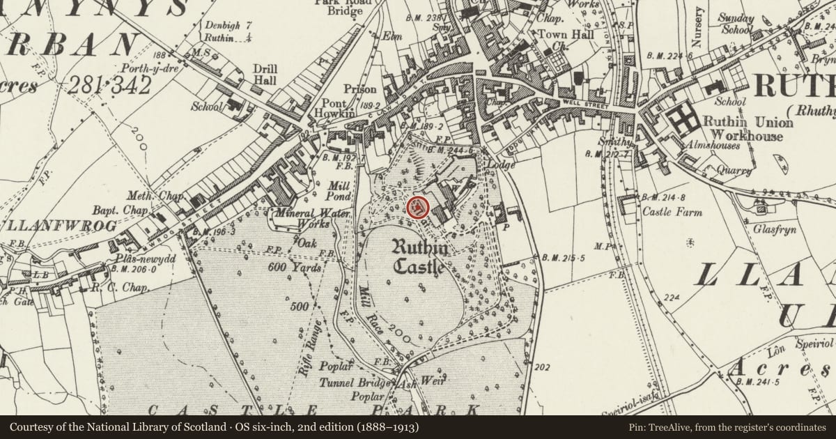 Ordnance Survey six-inch map, 2nd edition (1888–1913) covering the location of Ruthin Castle Hotel, Denbighshire, with a pin at the register's coordinates
