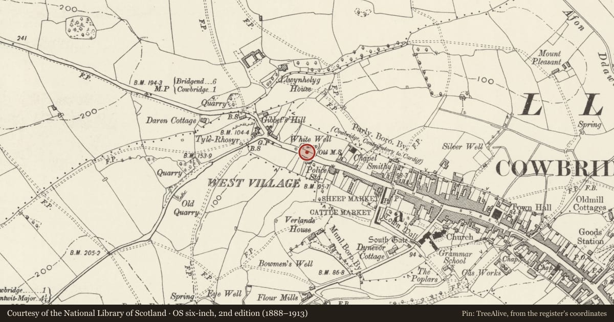 Ordnance Survey six-inch map, 2nd edition (1888–1913) covering the location of Telephone Call-box Outside Hill View & The Haven, Cowbridge with Llanblethian, Vale of Glamorgan, with a pin at the register's coordinates
