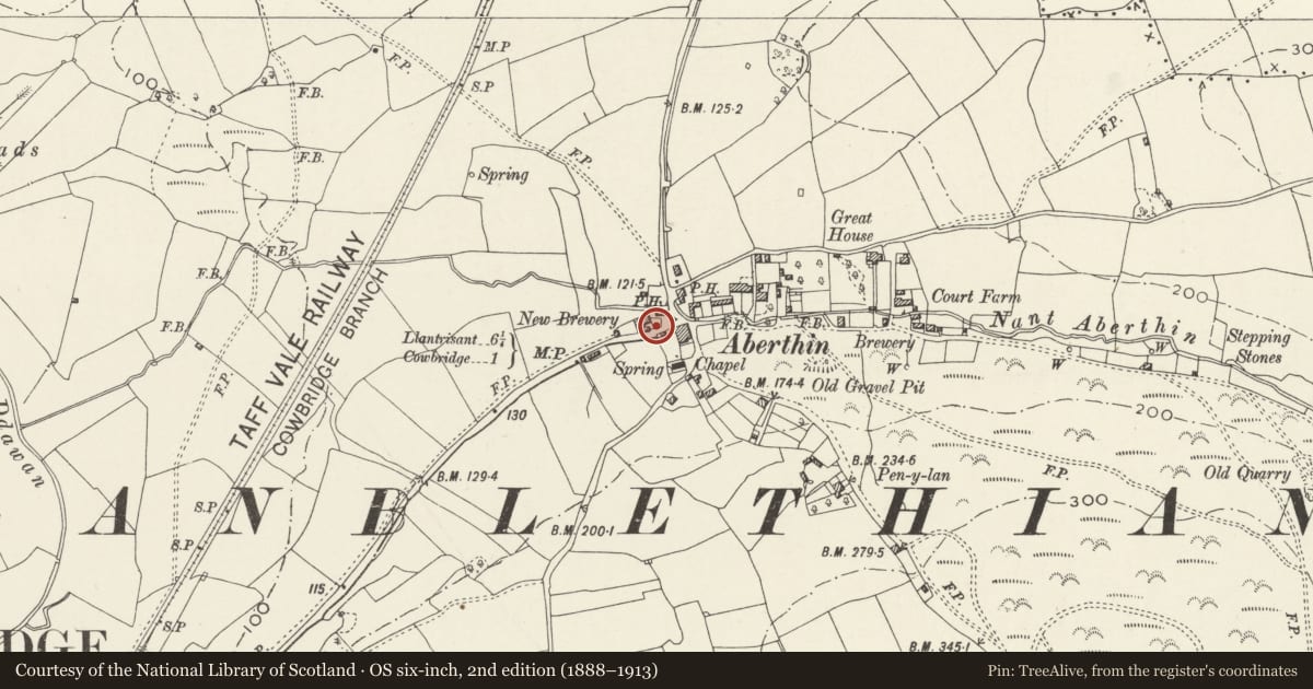 Ordnance Survey six-inch map, 2nd edition (1888–1913) covering the location of Telephone Call-box Outside Farmers Arms, Cowbridge with Llanblethian, Vale of Glamorgan, with a pin at the register's coordinates