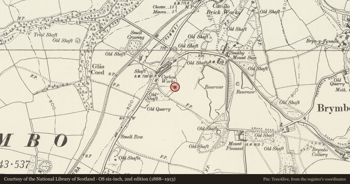 Ordnance Survey six-inch map, 2nd edition (1888–1913) covering the location of The Bottle Chimney, Brymbo, Wrexham, with a pin at the register's coordinates