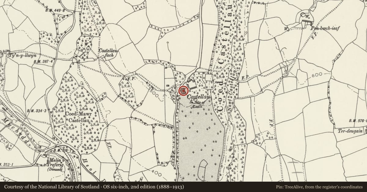 Ordnance Survey six-inch map, 2nd edition (1888–1913) covering the location of Castellau House, Llantrisant, Rhondda Cynon Taff, with a pin at the register's coordinates