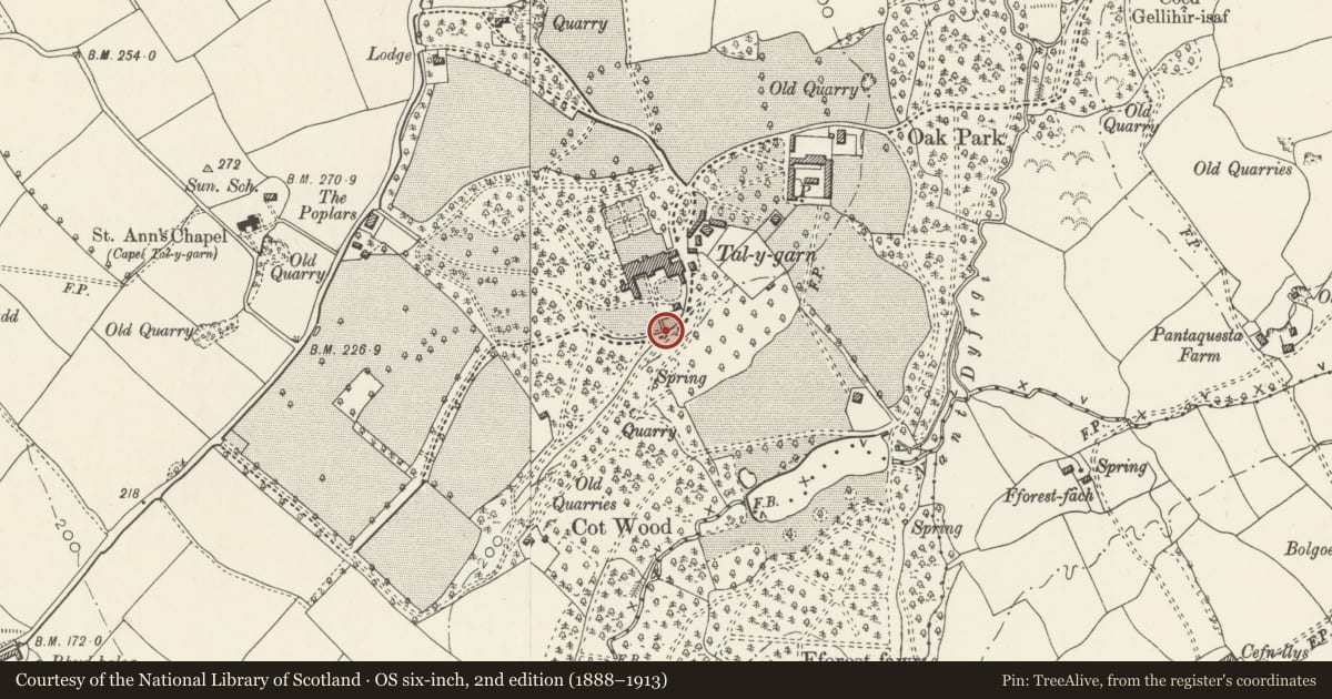 Ordnance Survey six-inch map, 2nd edition (1888–1913) covering the location of Garden wall, gates and gate piers bounding S garden at Talygarn, Pont-y-Clun, Rhondda Cynon Taff, with a pin at the register's coordinates