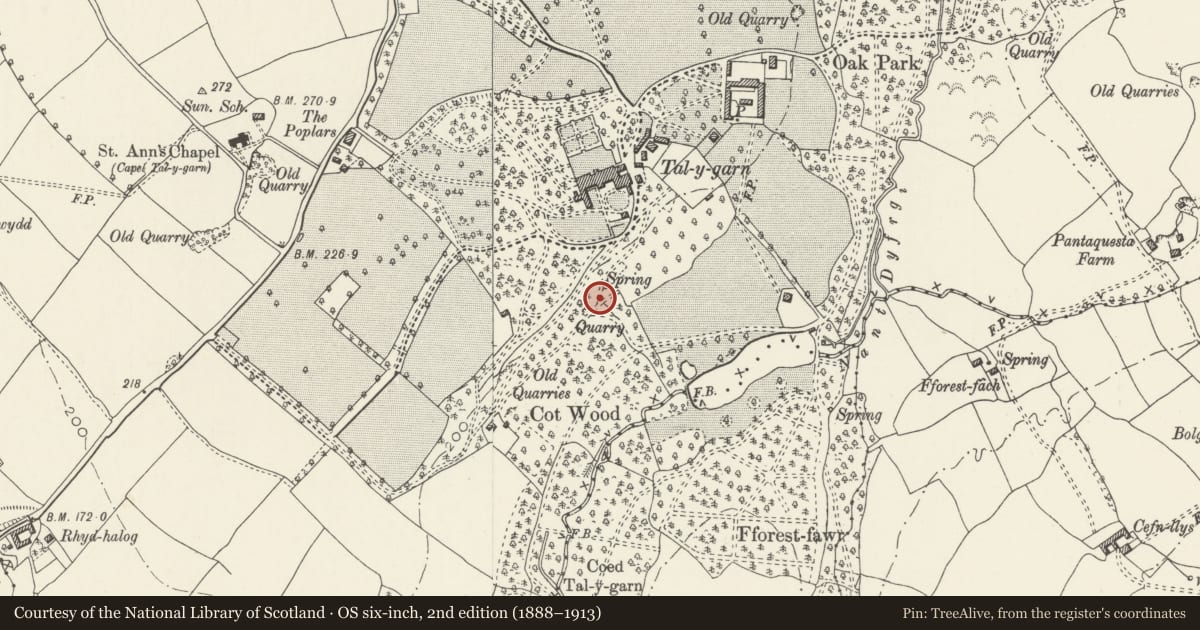 Ordnance Survey six-inch map, 2nd edition (1888–1913) covering the location of Bridge at Adam's Pond in woods S of Talygarn, Pont-y-Clun, Rhondda Cynon Taff, with a pin at the register's coordinates