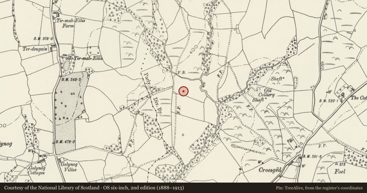 Ordnance Survey six-inch map, 2nd edition (1888–1913) covering the location of Cwm Coke Works Southern Cooling Tower, Llantrisant, Rhondda Cynon Taff, with a pin at the register's coordinates