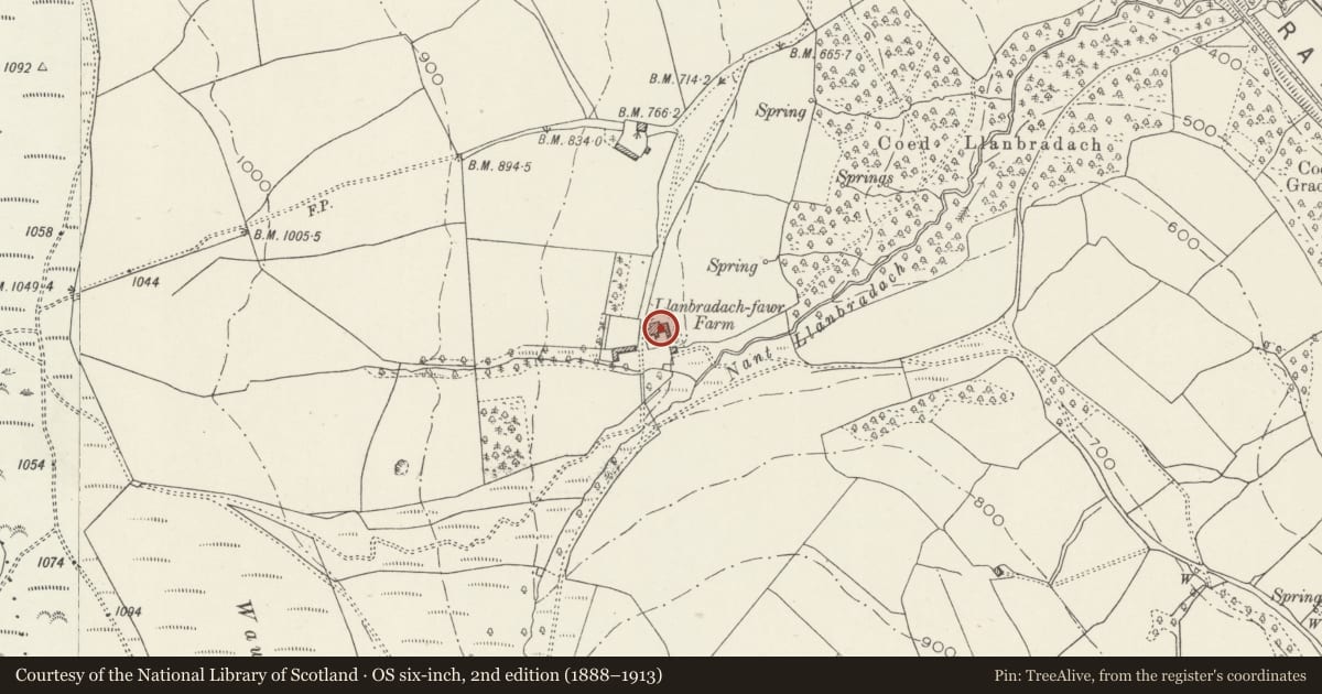 Ordnance Survey six-inch map, 2nd edition (1888–1913) covering the location of Llanbradach Fawr, Gelligaer, Caerphilly, with a pin at the register's coordinates