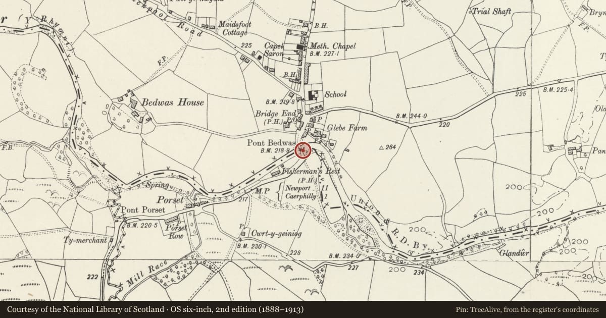 Ordnance Survey six-inch map, 2nd edition (1888–1913) covering the location of Pont Bedwas (partly in Van community), Caerphilly, with a pin at the register's coordinates
