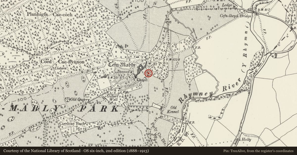 Ordnance Survey six-inch map, 2nd edition (1888–1913) covering the location of Terraces and ornamental structures to SE of Cefn Mably, Rudry, Caerphilly, with a pin at the register's coordinates
