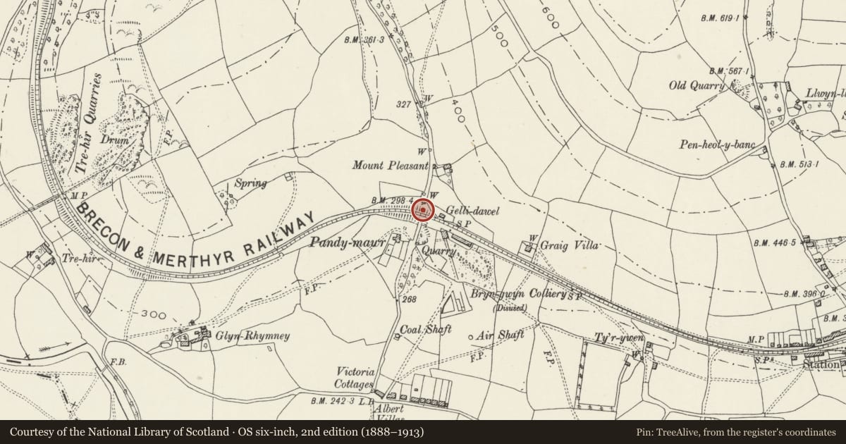 Ordnance Survey six-inch map, 2nd edition (1888–1913) covering the location of Pandy Mawr Railway Arch, Bedwas, Trethomas and Machen, Caerphilly, with a pin at the register's coordinates