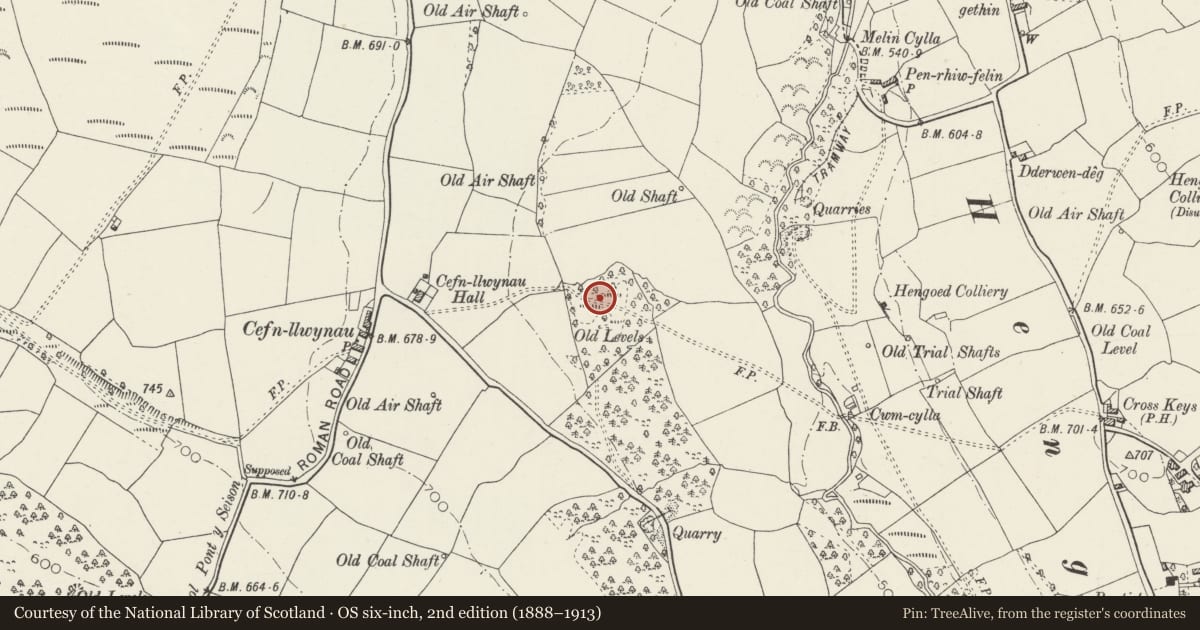 Ordnance Survey six-inch map, 2nd edition (1888–1913) covering the location of Penallta Colliery Engine Hall and Fan House, Gelligaer, Caerphilly, with a pin at the register's coordinates