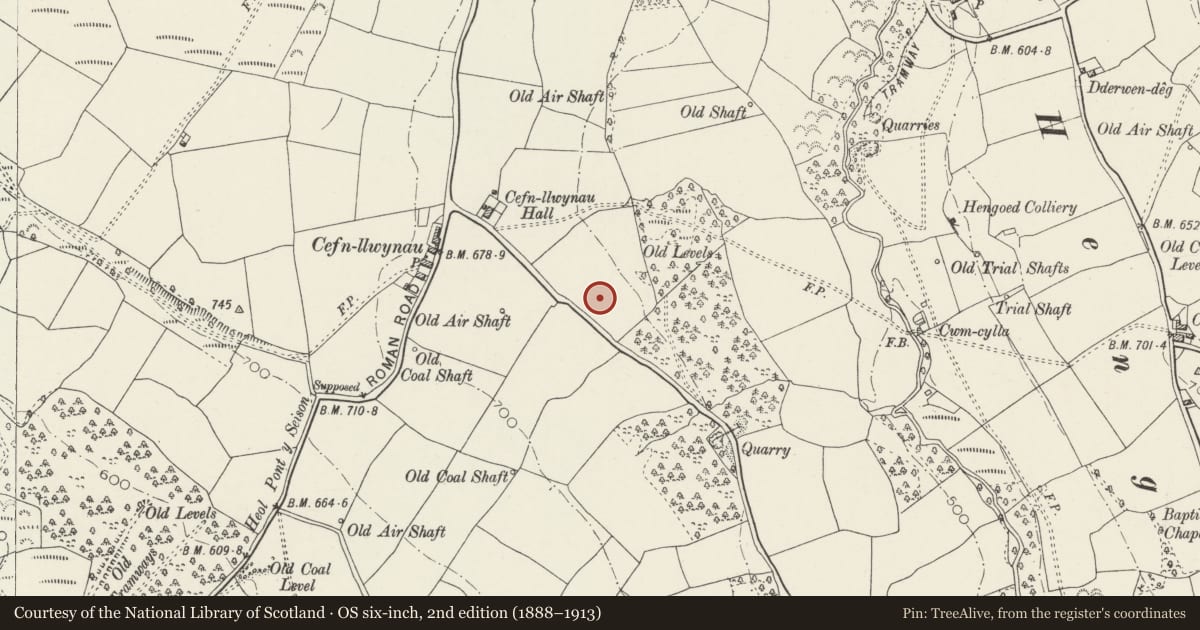 Ordnance Survey six-inch map, 2nd edition (1888–1913) covering the location of Penallta Colliery Baths Building, Gelligaer, Caerphilly, with a pin at the register's coordinates