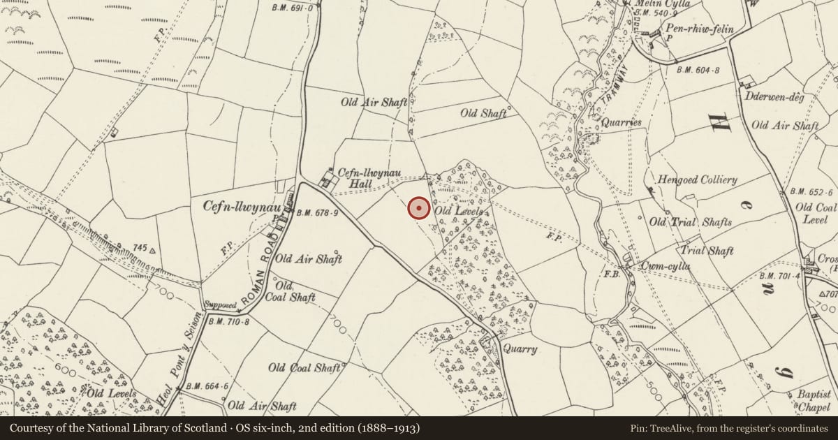 Ordnance Survey six-inch map, 2nd edition (1888–1913) covering the location of Penallta Colliery Workshops, Gelligaer, Caerphilly, with a pin at the register's coordinates