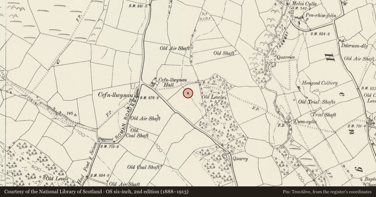 Ordnance Survey six-inch map, 2nd edition (1888–1913) covering the location of Penallta Colliery Old Stores, Gelligaer, Caerphilly, with a pin at the register's coordinates