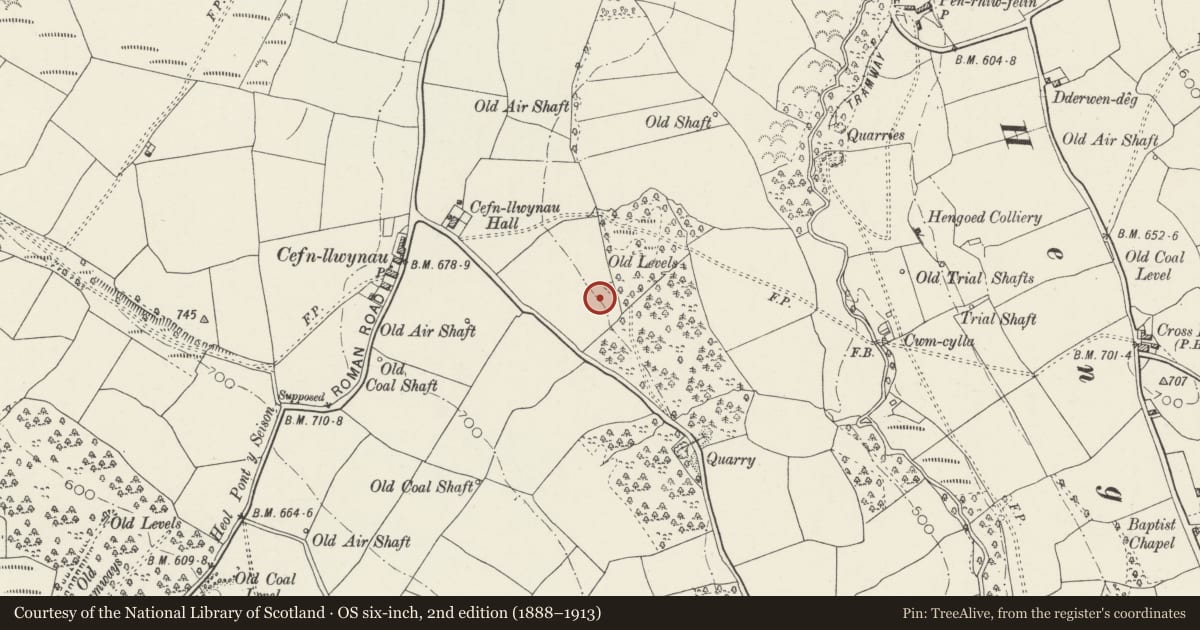 Ordnance Survey six-inch map, 2nd edition (1888–1913) covering the location of Penallta Colliery Lamp Room, Gelligaer, Caerphilly, with a pin at the register's coordinates