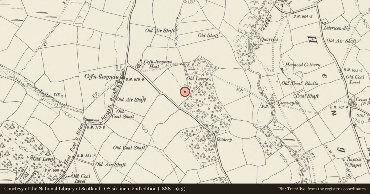 Ordnance Survey six-inch map, 2nd edition (1888–1913) covering the location of Penallta Colliery Pit-top Offices, Gelligaer, Caerphilly, with a pin at the register's coordinates