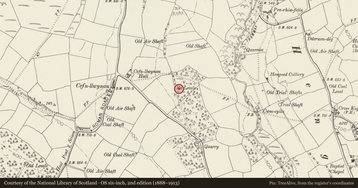 Ordnance Survey six-inch map, 2nd edition (1888–1913) covering the location of Penallta Colliery No.1 Headframe, Gelligaer, Caerphilly, with a pin at the register's coordinates