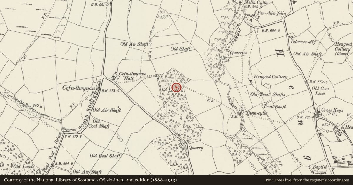 Ordnance Survey six-inch map, 2nd edition (1888–1913) covering the location of Penallta Colliery No.2 Headframe, Gelligaer, Caerphilly, with a pin at the register's coordinates