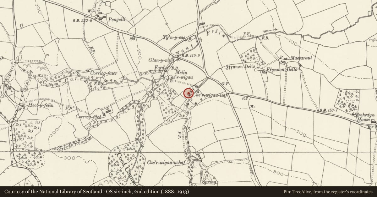 Ordnance Survey six-inch map, 2nd edition (1888–1913) covering the location of Cae'rwigau Isaf, Pendoylan, Vale of Glamorgan, with a pin at the register's coordinates