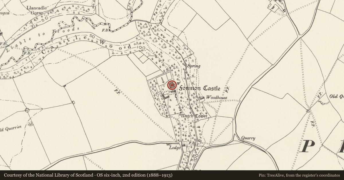 Ordnance Survey six-inch map, 2nd edition (1888–1913) covering the location of Fonmon Castle, Rhoose, Vale of Glamorgan, with a pin at the register's coordinates