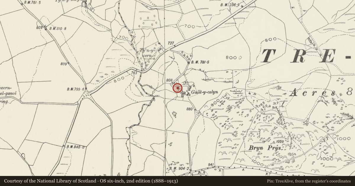 Ordnance Survey six-inch map, 2nd edition (1888–1913) covering the location of Cartshed at Gallt-y-celyn, Pentrefoelas, Conwy, with a pin at the register's coordinates
