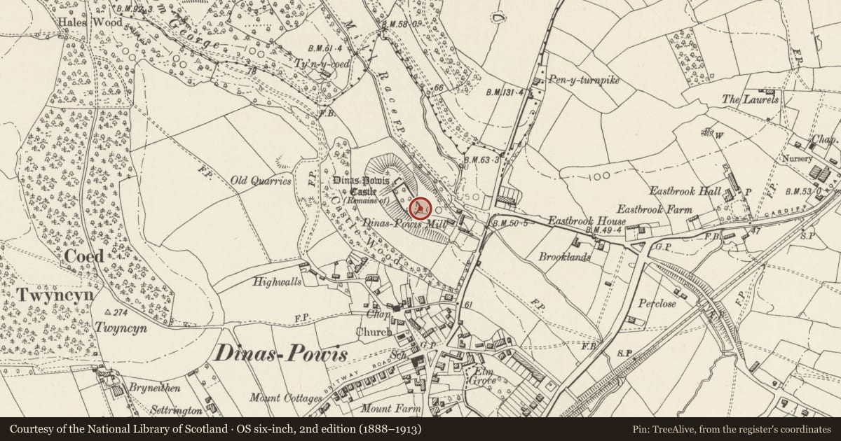 Ordnance Survey six-inch map, 2nd edition (1888–1913) covering the location of Remains of Dinas Powis Castle, Dinas Powys, Vale of Glamorgan, with a pin at the register's coordinates