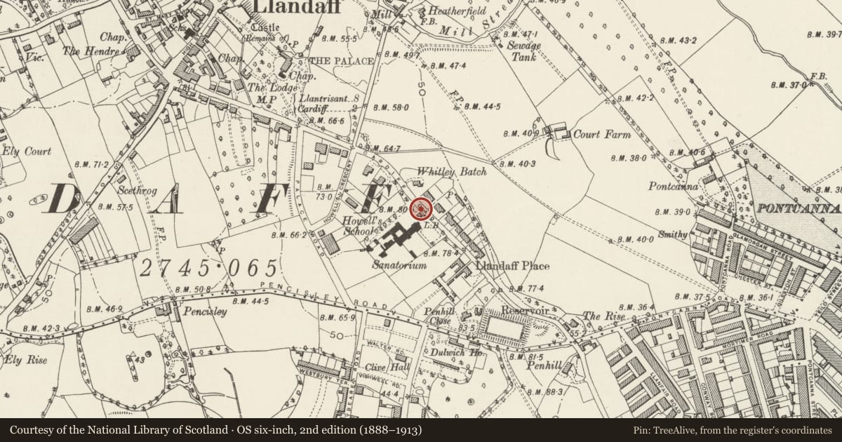 Ordnance Survey six-inch map, 2nd edition (1888–1913) covering the location of East Boundary Wall and Gatepiers of Howells School, Llandaff, Cardiff, with a pin at the register's coordinates