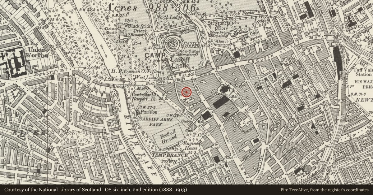 Ordnance Survey six-inch map, 2nd edition (1888–1913) covering the location of Castle Arcade, Cardiff, with a pin at the register's coordinates