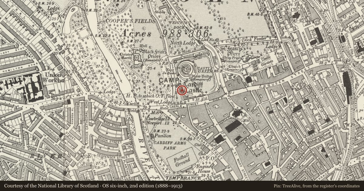 Ordnance Survey six-inch map, 2nd edition (1888–1913) covering the location of Cardiff Castle, Cardiff, with a pin at the register's coordinates