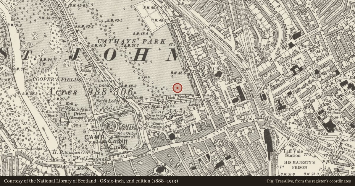 Ordnance Survey six-inch map, 2nd edition (1888–1913) covering the location of Statue of Godfrey, First Viscount Tredegar, Castle, Cardiff, with a pin at the register's coordinates