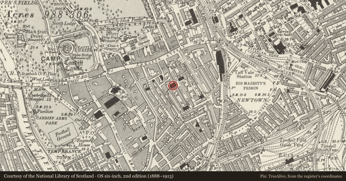 Ordnance Survey six-inch map, 2nd edition (1888–1913) covering the location of St David's Roman Catholic Cathedral, Castle, Cardiff, with a pin at the register's coordinates