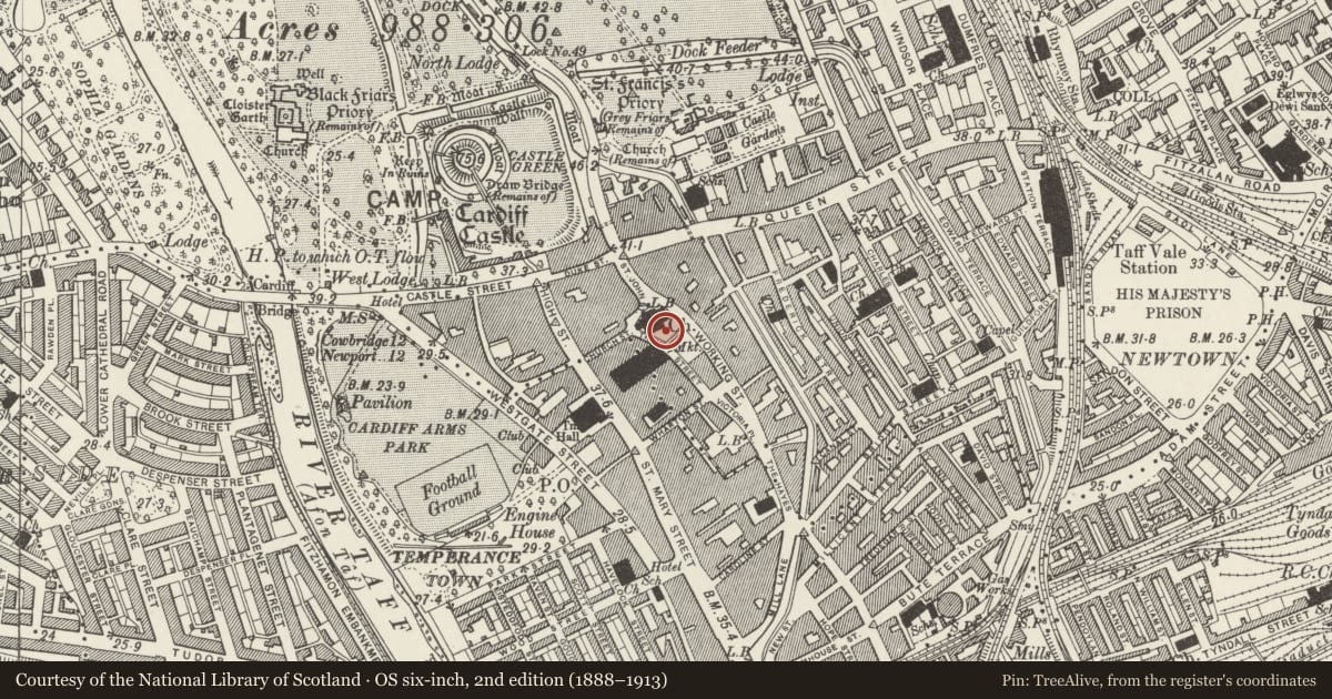 Ordnance Survey six-inch map, 2nd edition (1888–1913) covering the location of Churchyard Cross on S side of St John's Church, Castle, Cardiff, with a pin at the register's coordinates