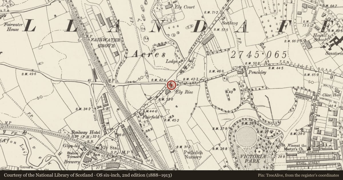 Ordnance Survey six-inch map, 2nd edition (1888–1913) covering the location of Stable Block to Fairwater Conservative Club (Ely Rise), Canton, Cardiff, with a pin at the register's coordinates