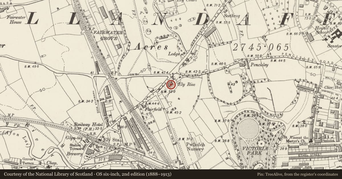 Ordnance Survey six-inch map, 2nd edition (1888–1913) covering the location of Fairwater Conservative Club (Ely Rise), Canton, Cardiff, with a pin at the register's coordinates