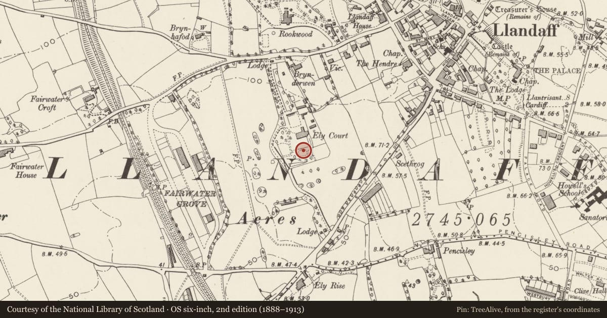 Ordnance Survey six-inch map, 2nd edition (1888–1913) covering the location of Terrace Wall in Garden to south of Insole Court, Llandaff, Cardiff, with a pin at the register's coordinates