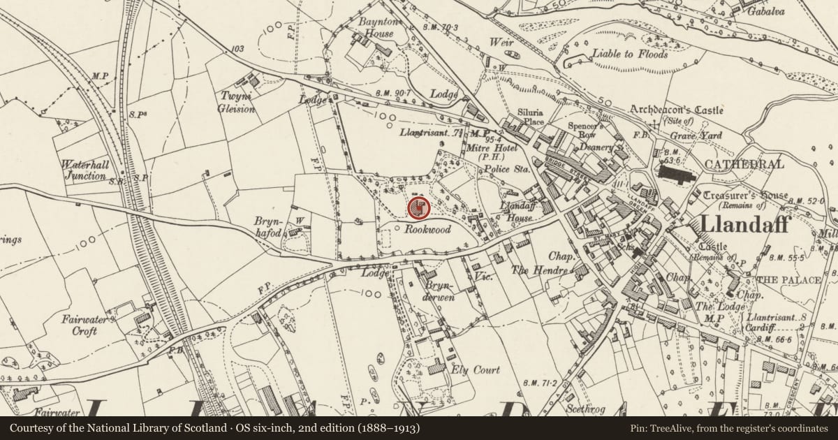 Ordnance Survey six-inch map, 2nd edition (1888–1913) covering the location of Main Building at Rookwood Hospital, Llandaff, Cardiff, with a pin at the register's coordinates