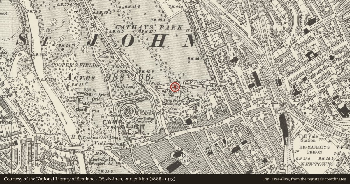 Ordnance Survey six-inch map, 2nd edition (1888–1913) covering the location of Bridge over Dock feeder including Cast Iron Drinking Fountain, Castle, Cardiff, with a pin at the register's coordinates