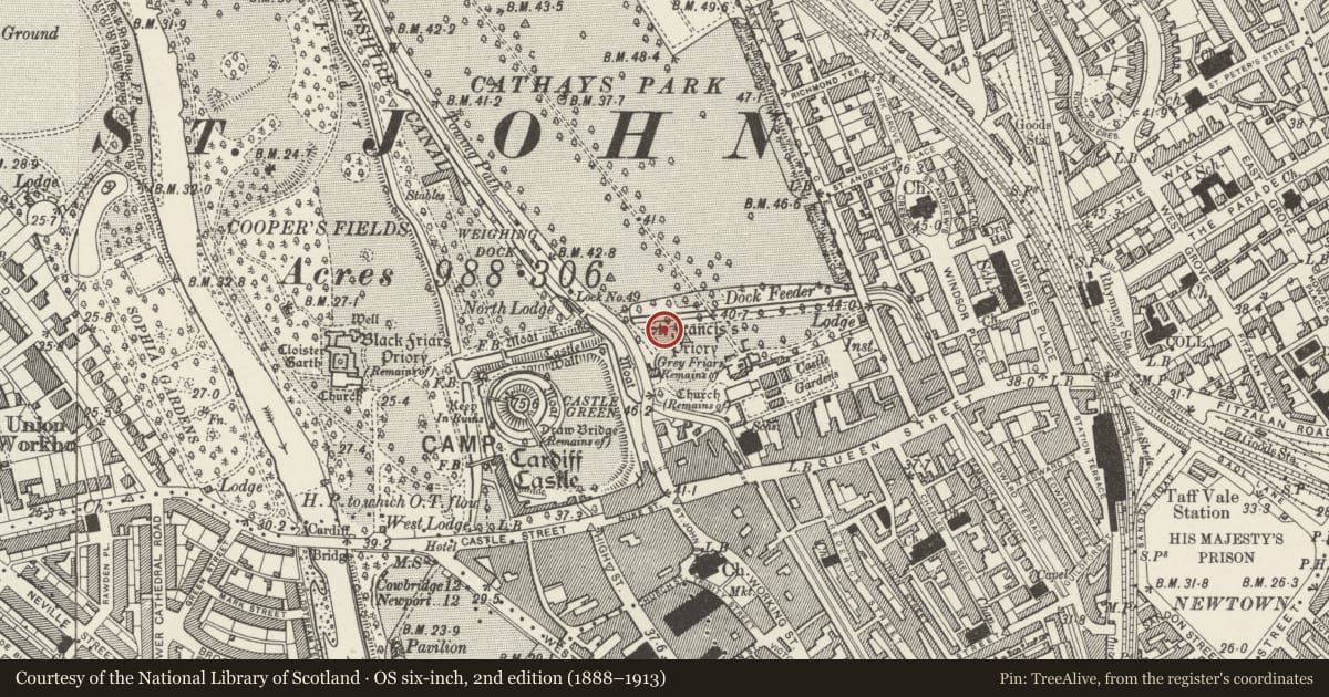 Ordnance Survey six-inch map, 2nd edition (1888–1913) covering the location of Statue of Third Marquess of Bute, Castle, Cardiff, with a pin at the register's coordinates