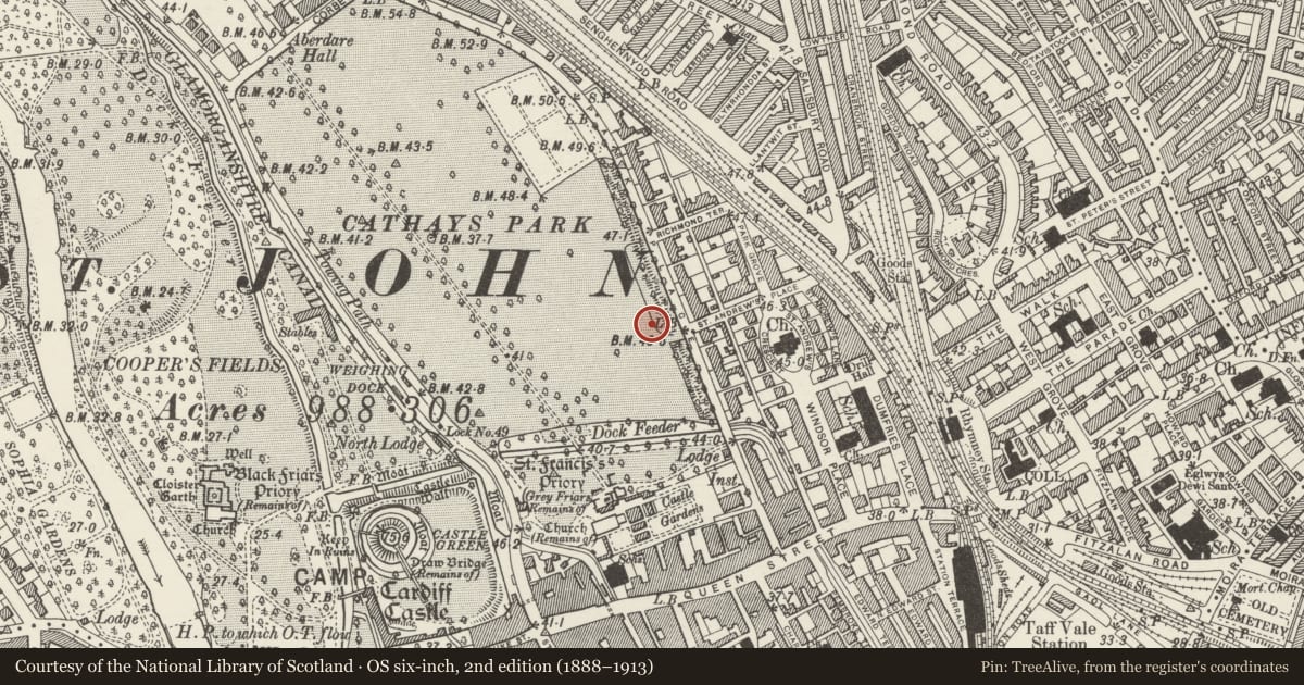 Ordnance Survey six-inch map, 2nd edition (1888–1913) covering the location of Statue of David Lloyd George, Castle, Cardiff, with a pin at the register's coordinates