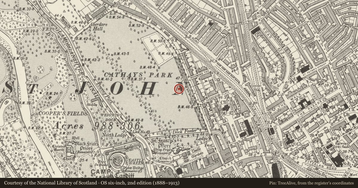 Ordnance Survey six-inch map, 2nd edition (1888–1913) covering the location of National Museum of Wales, Castle, Cardiff, with a pin at the register's coordinates