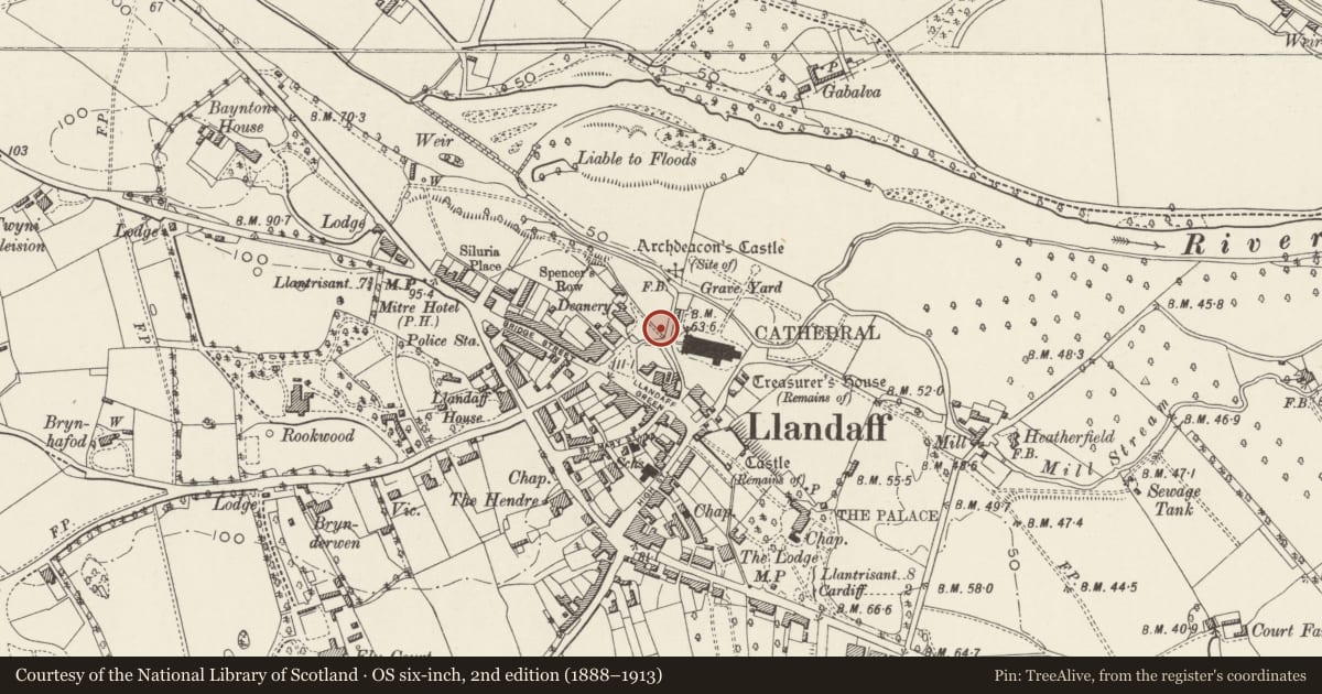 Ordnance Survey six-inch map, 2nd edition (1888–1913) covering the location of Garden Wall and Gatepiers of Cathedral Court, Llandaff, Cardiff, with a pin at the register's coordinates