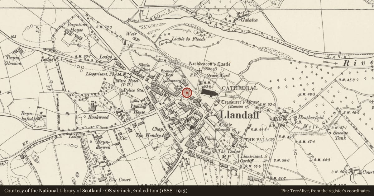 Ordnance Survey six-inch map, 2nd edition (1888–1913) covering the location of Llandaff War Memorial, Cardiff, with a pin at the register's coordinates